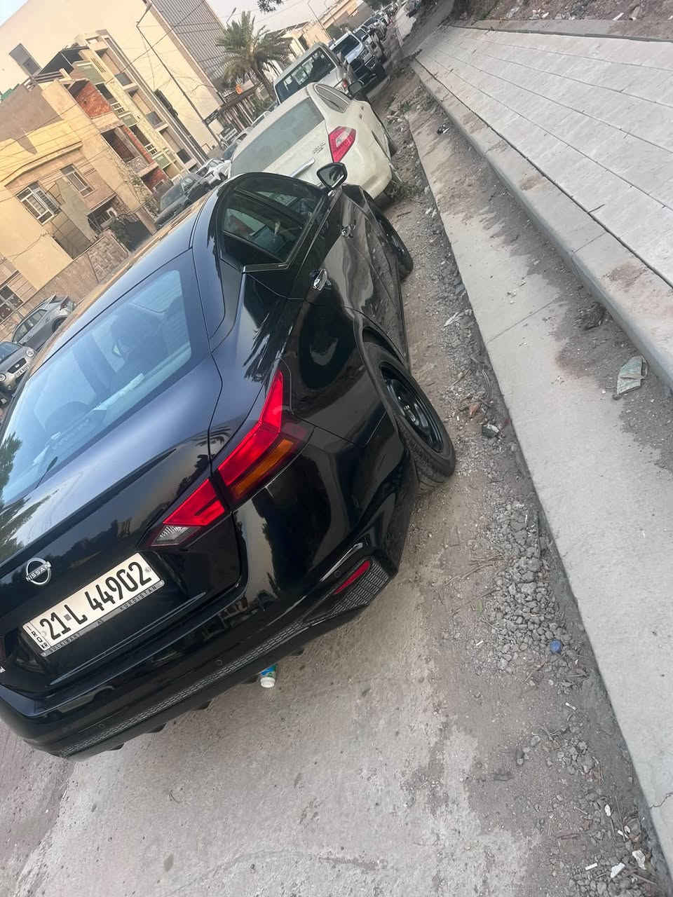 التيما ٢٤ • ماشية ٥٩ • ضرر