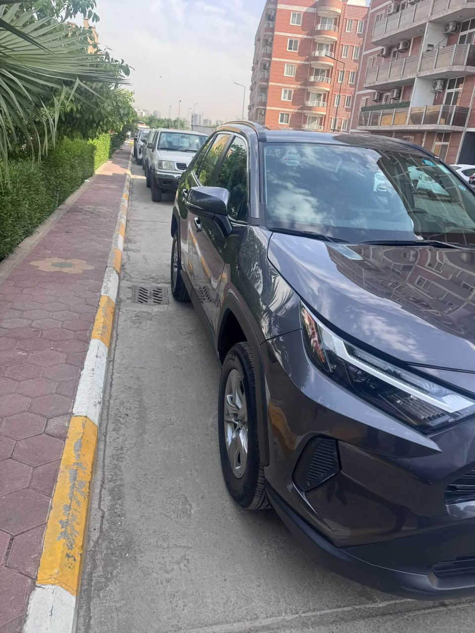 راف فور • هايبرد • ٢٠٢٥