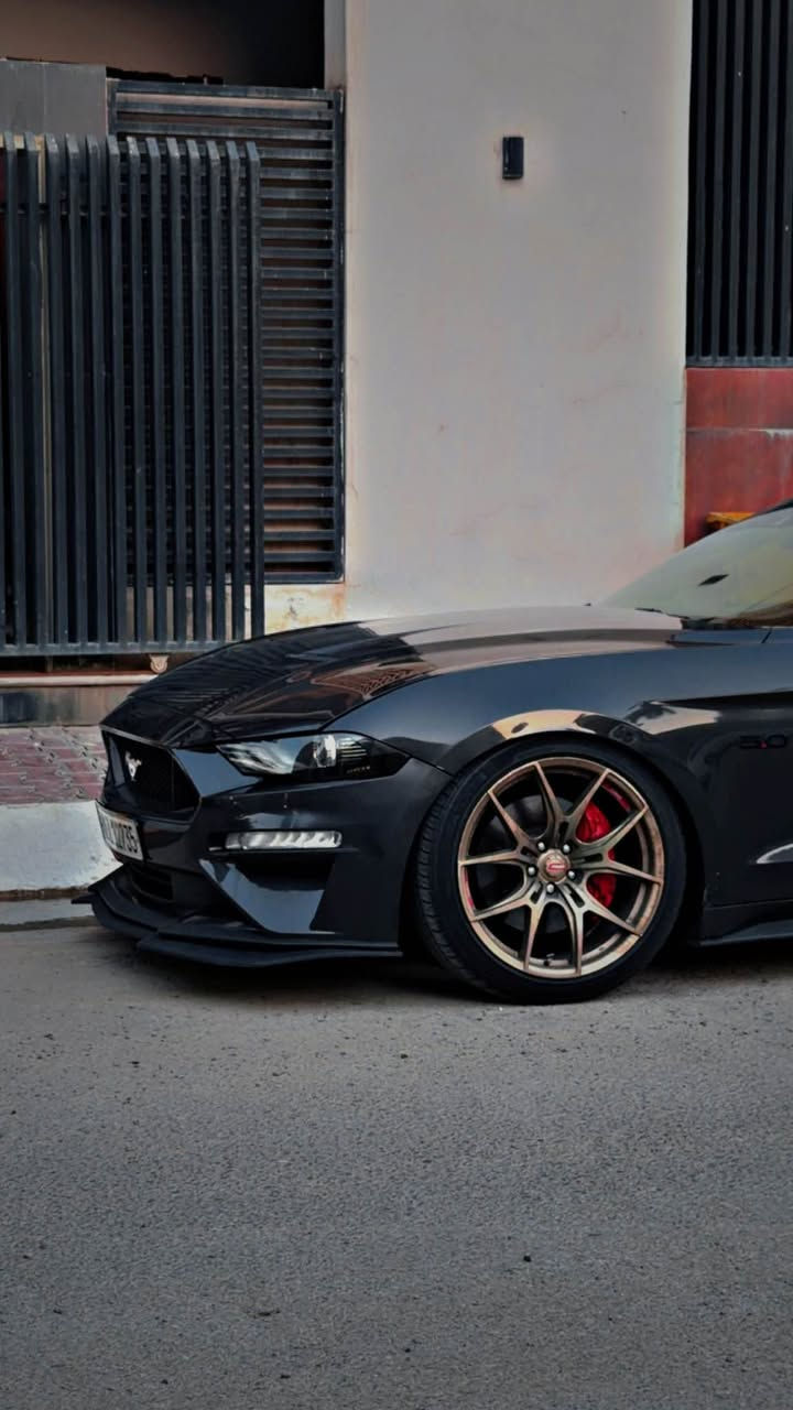 السلام عليكم شباب 
مرخصت الادمنيه الطيبين 
للبيع mustang GT 2023
السياره حادثها فقط دعاميه بدون صبغ (كلين)
الممشة 29,000 km 
السياره رقم اربيل صفر غرامات
السيارة بيها باج تضليل 80% من اربيل رسمي
السيارة عليها ويل نيش اصلي قليل موجود من عنده
عليها هدرز bbk long tube امريكي اصلي
السياره فول مواصفات 
شاشة دجتال 
اكتف اكزوز 
رادار امامي 
حساسات مري 
حساسات خلفيه
لونج كونترول 
مثبت سرعه 
مثبت مسار
مكينه كير كفالة 
قبل كم يوم صار بيها رصعه صغيره كلش باب البيت رجعت عليها فقط 
مكان السياره بغداد الدوره او الداودي 
للاستفسار
*********** بغداد, العراق
