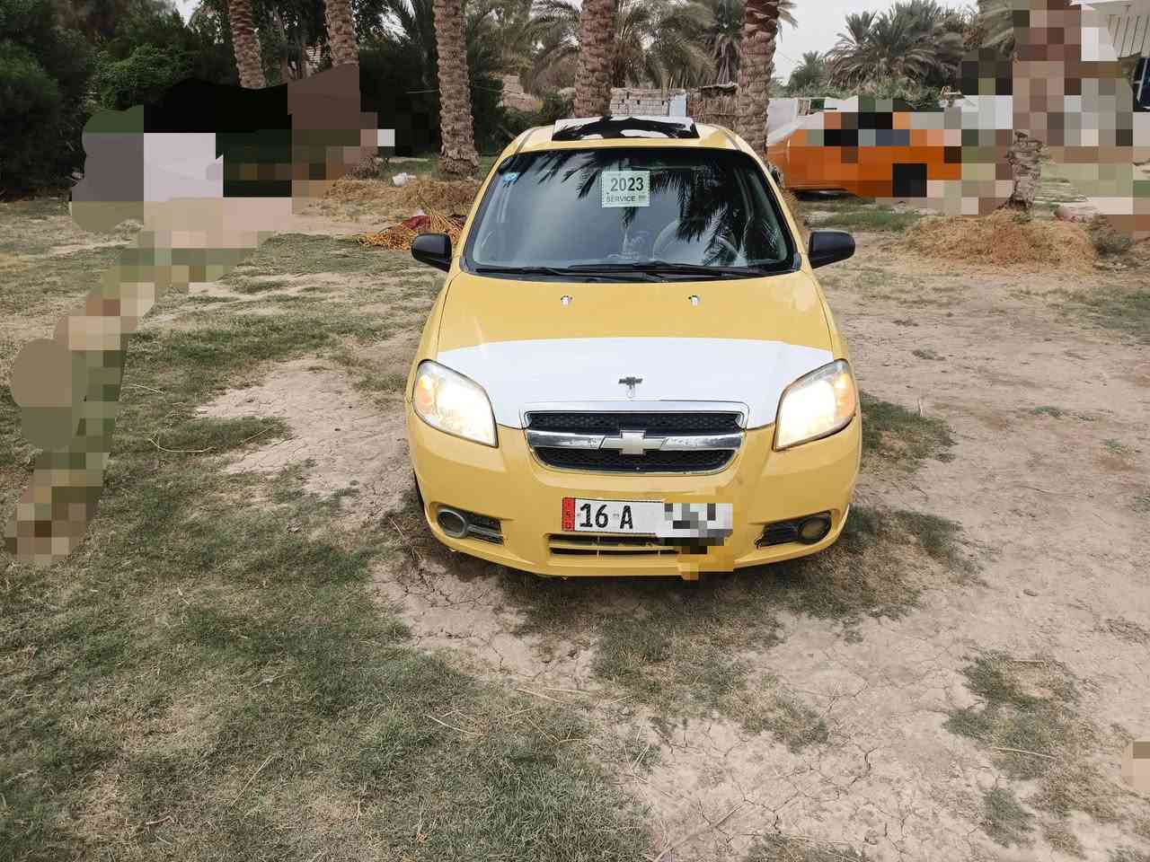 افيو • ٢٠٠٨ • بابل الديوانيه