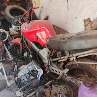 شاصي • امكمرك • واتساب