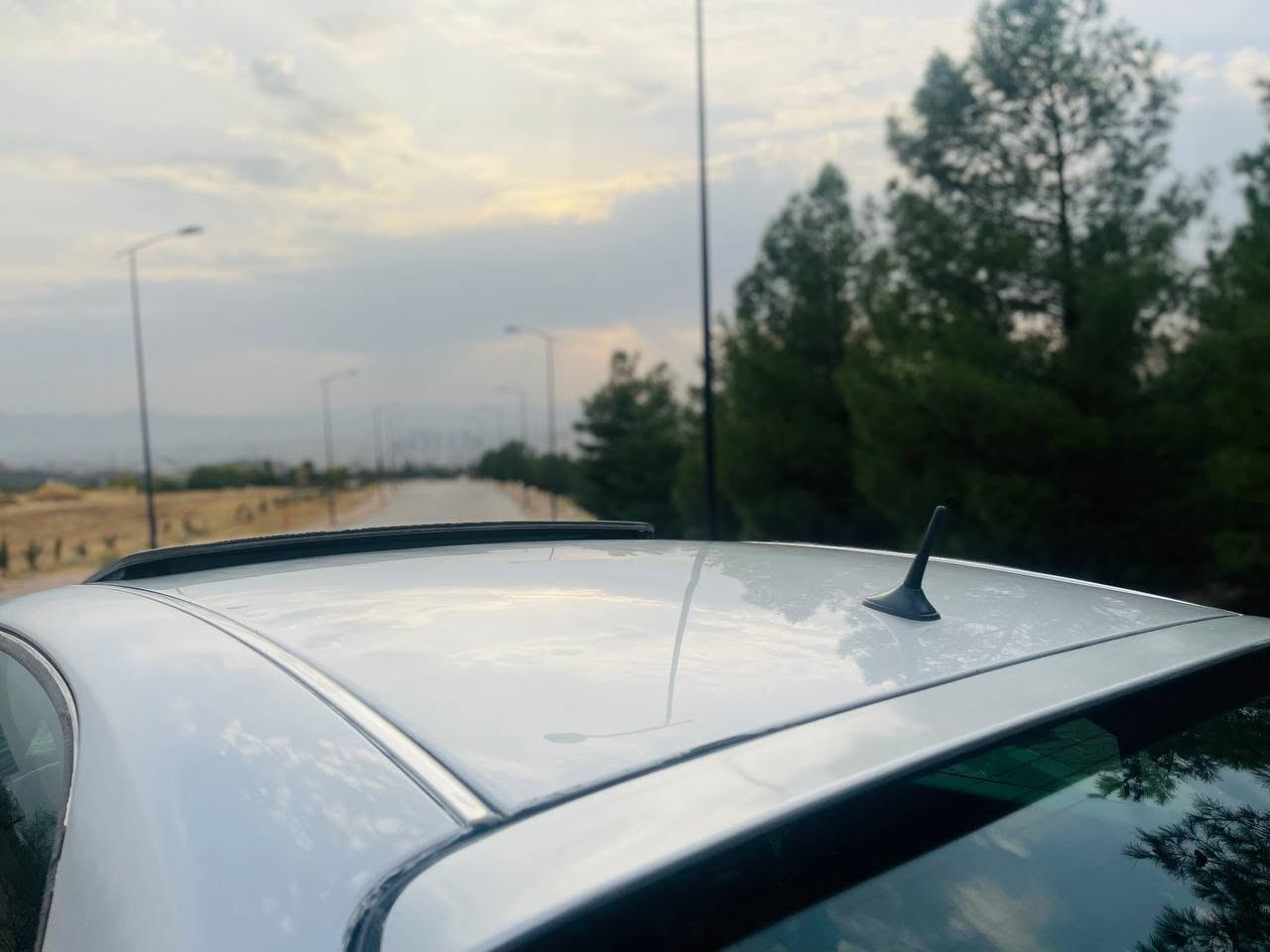 شاهینە مووس 184 • جلد • پلیت باسم