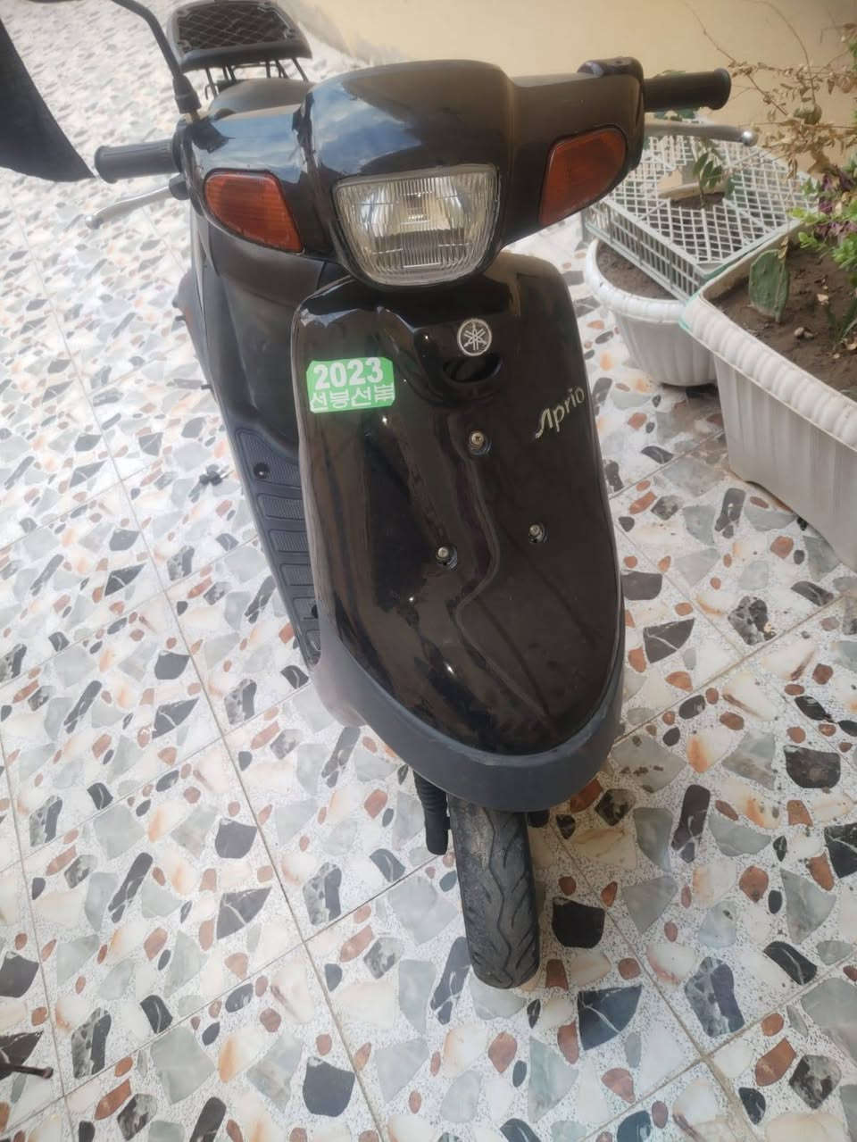 بطه • نضيفه • على شرط