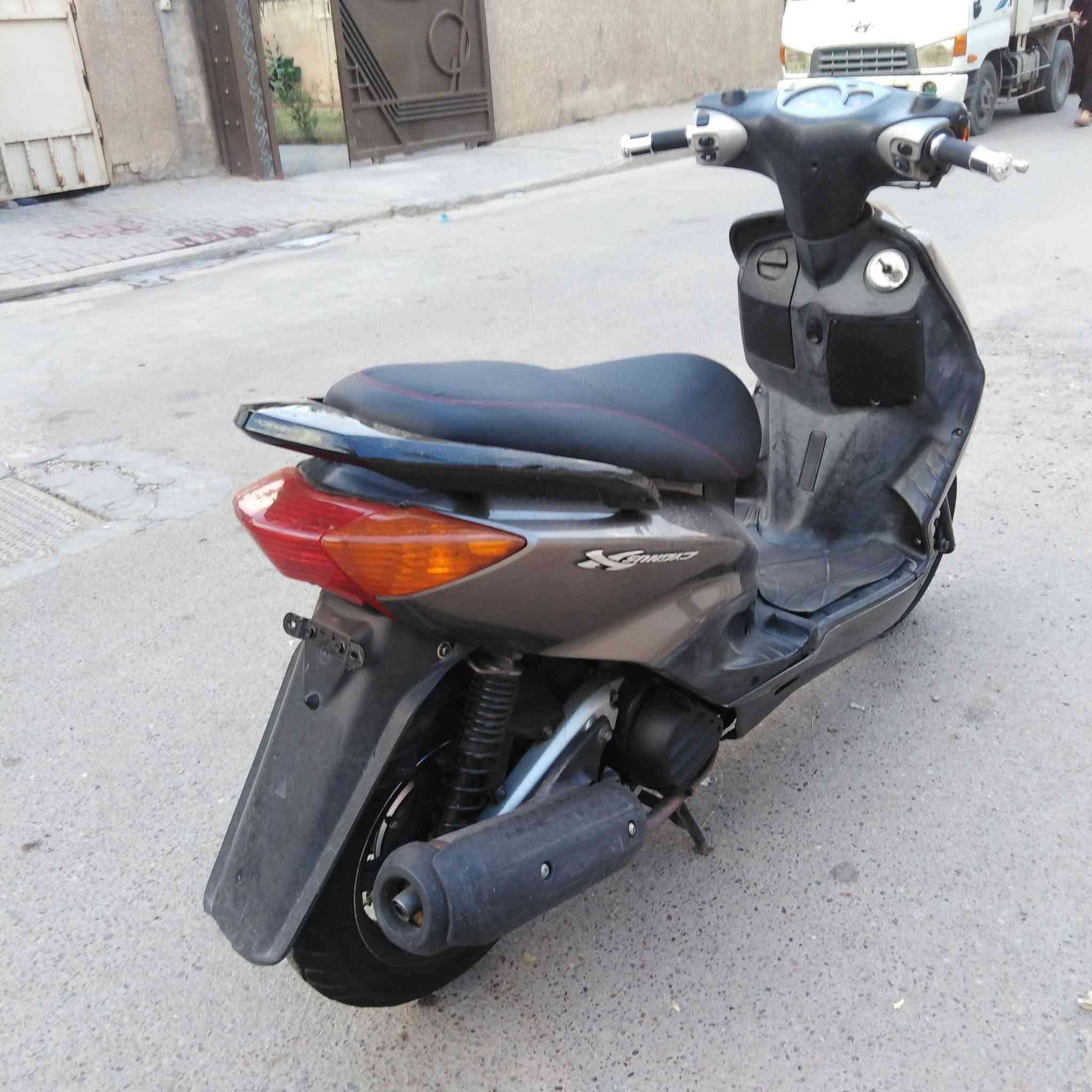 سكنس نثيه • ياباني • مكفوله