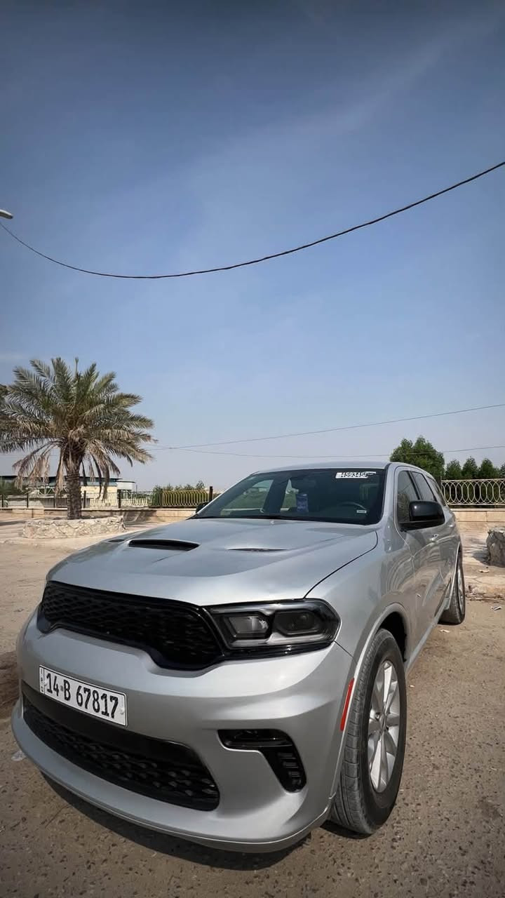 دورنكو GT • ٢٠٢٥ • رقم بصرة