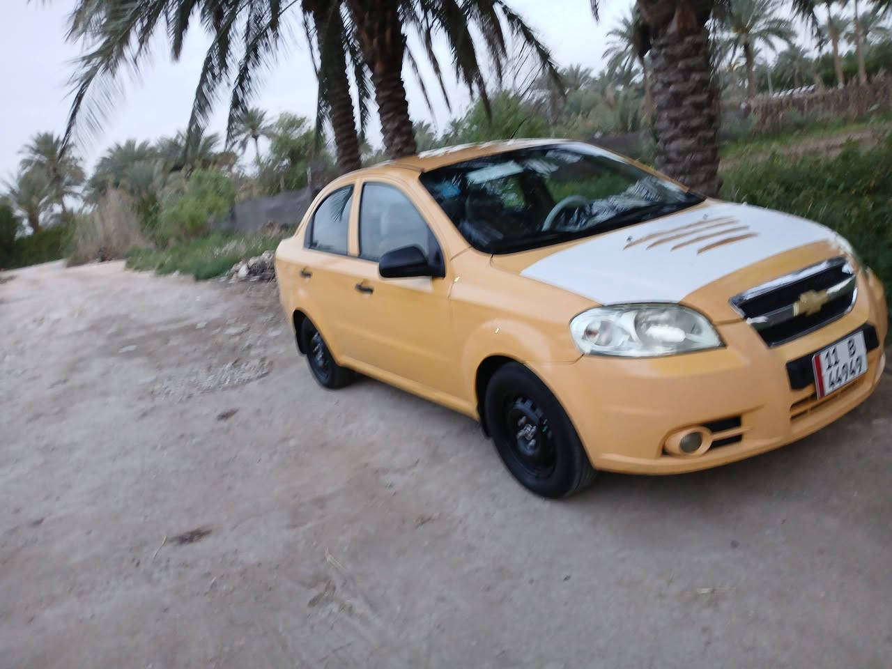 افيو خليجي 2011 مال مؤسسه كفاله عامه عدا بارد بالباب شويه رقم بغداد انكليزي  كير محرك كفاله  ومحرك مفتوخ المرغوب تبريد شغال سياره اي نقص مابيه شرط ع صبغتها البلاديه 
والسياره احلا من الصور استخدام شخصي تجي وتكلب براحتك 
#السعر 67$وبيه مجال ان شاءالله وتفاصيل كامله اقتنع وخابر ❤
المكان حله جزائر
***********
