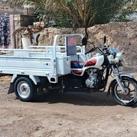 ستوتة ام الطير • ١٥٠ • ٢٠٢٤