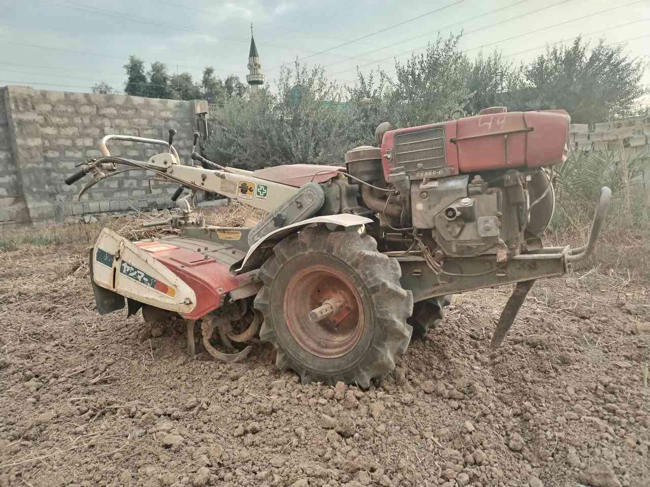 رفاسة ينمر • ياباني • نضيفة