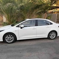 كورلة • ٢٠٢٤ • بغداد