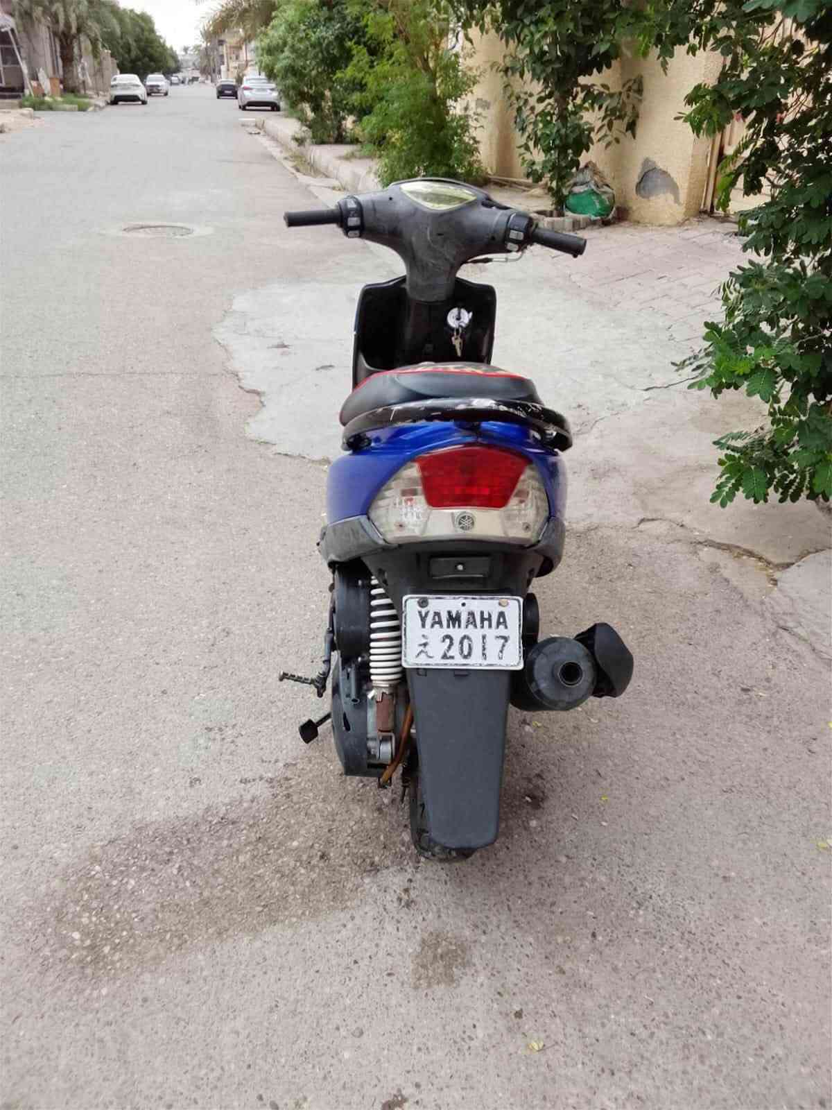 ماكس • عدلة • بلادية