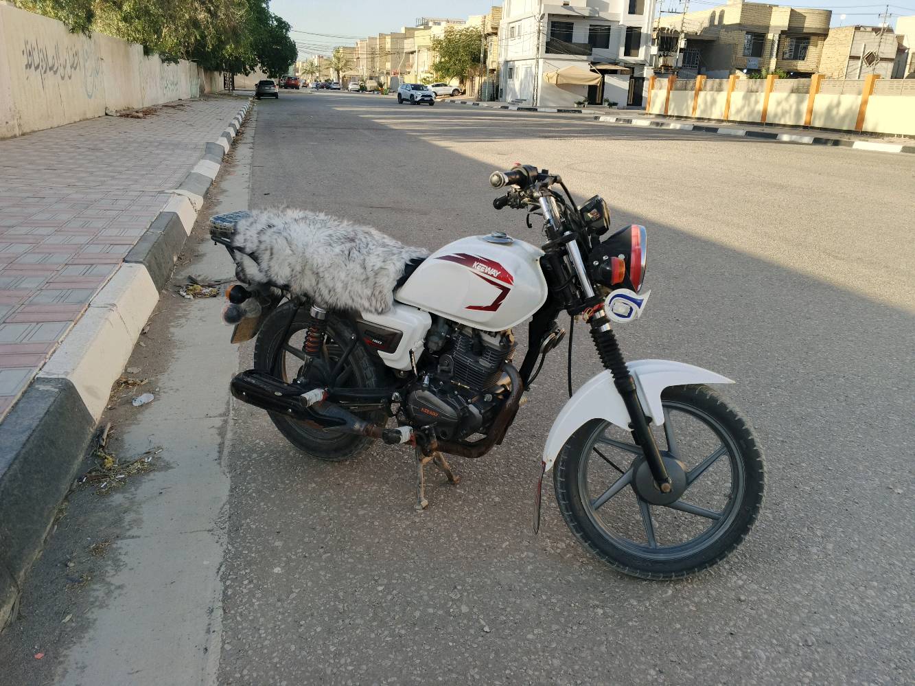 كيواي • مديل ٢١ • وراق صولي