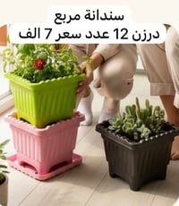حاجة 1000 • درزن ١٢ • توصيل مجاني
