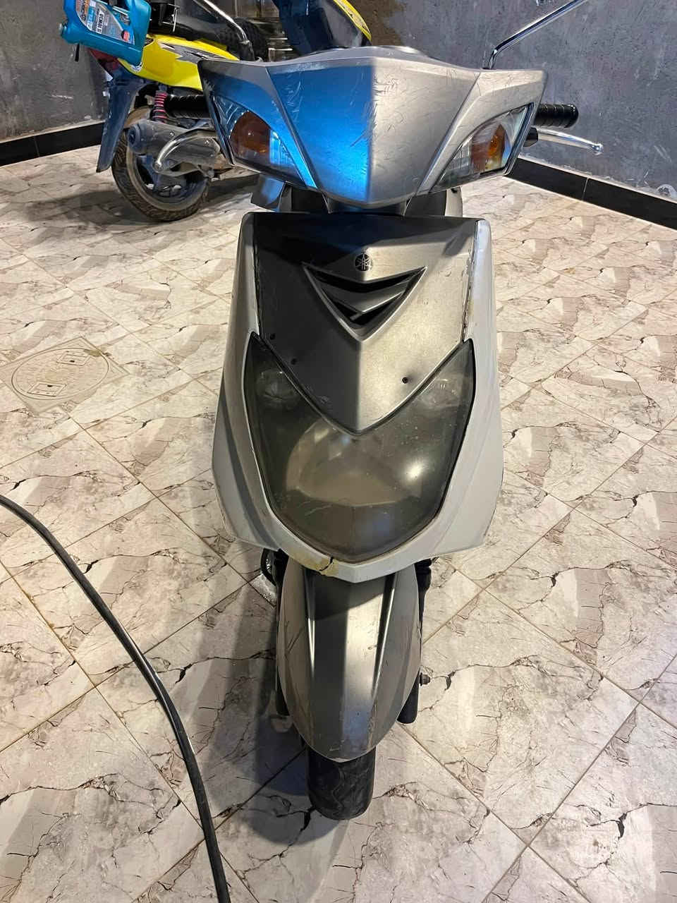 سكنس فحل نوزل للبيع مكفولة من كلشي قبل ٦ اشهر من نازلة رمبة واوراق الرمبة موجودة
السعر 800 وبيها مجال حك الجية للاستفسار 

***********
مكاني بعقوبة المفرق
