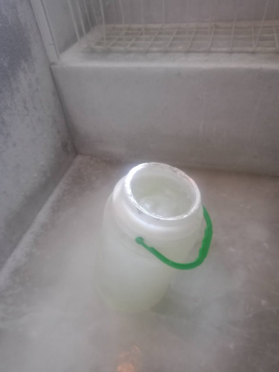 مجمدة • مستعملة • منزلية
