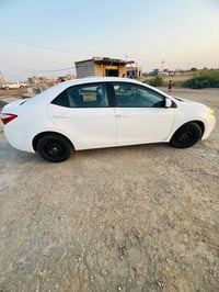 كورلا • ٢٠١٦ • ذي قار