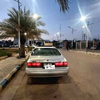 راس ثور كصتين مكينه بيه صوت براص رقم نجف دولي مداور السعر مناسب ٥٠بيه ...