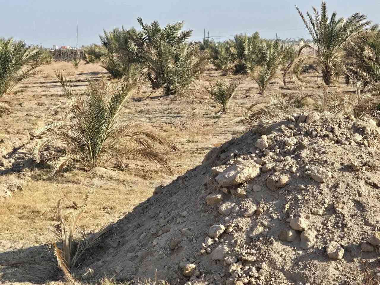 بيع مستعجل وبسعر مناسب جدا أقرا المنشور للأخير ذاكر كافة التفاصيل  علمأ مفوضة بالطابو تحتاج فقط عدد من النخيل والاشجار وتتطوب
أسعد الله اوقاتكم أحبتي  ) ( أللهم صل على محمد وآل محمد

 ( عرض مميز للبيع مزرعة مساحة 7 #دونم عقد 35 علمأ العقد

 ينزل بأسمك مجدد لمده 5 سنوات المزرعة تحتوي على بيت 🏠

 مساحة 150 متر يتكون من استقبال وصاله وغرفه نوم 💤

 ومطبخ وصحيات +حديقة  + مسبح المزرعة مسيجة بالكامل مع

 اناره داير المزرعه بالكامل مزروعة اصناف جيده من انواع

 النخيل عدد من البرحي وعدد من المجهول والمكتوم انواع جيده

 عدد النخيل مايقارب 300 فسيله انواع #جيده  يوجد نهر

 للسقي مع 4 غطاسات ويوجد ايضا بئر للسقي داخل المزرعه

 العنوان #كربلاء شارع #بغداد الهأ مدخلين مدخل الأول من

 شارع المنشأ من مجمع #الكليني وتدخل ومدخل الثاني من

 شارع سيد #احمد تبعد عن مزار سيد احمد 1 كيلو وتبعد عن

 شارع #بغداد 3 كيلو منطقة هادئة جدا تصلح سكن أو ترفيهي)

 ( #السعر النهائي بدون اي تفاوض  )(   90   مليون 

 للإستفسار أكثر اتصلوا بالأرقام التالية)

 ( ***********  )

( ***********  ) أبو فاطمة عنوان المكتب شارع الحسينية

 قرب جسر 🌉 الإبراهيمية مقابل شارع عون مكتب 🏢@مكتب النافعي للعقارات -كربلاء    مكتب النافعي للعقارات كربلاء    @أبرز المعجبين 

 #اشاره #الاصدقاء #بغدادبصرةكوت النافعي للعقار 

( ‏‪***********‬‏ )( *********** )

بيع مستعجل وبسعر مناسب جدا أقرا المنشور للأخير ذاكر كافة التفاصيل  علمأ مفوضة بالطابو تحتاج فقط عدد من النخيل  @الجميع  @إشارة
