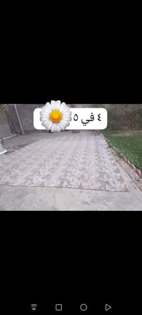 كاربد باندا • ١٣م • يحتاج غسيل