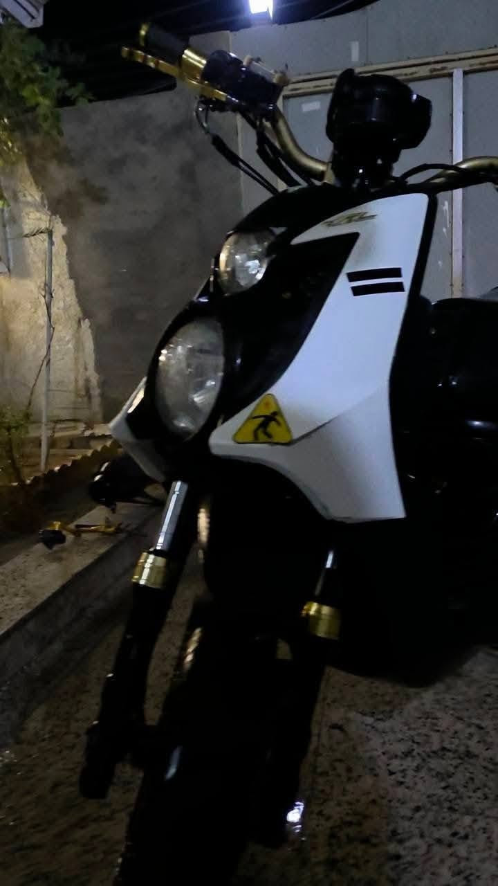 سكنس جبلي • ٢٠١٤ • مكفوله