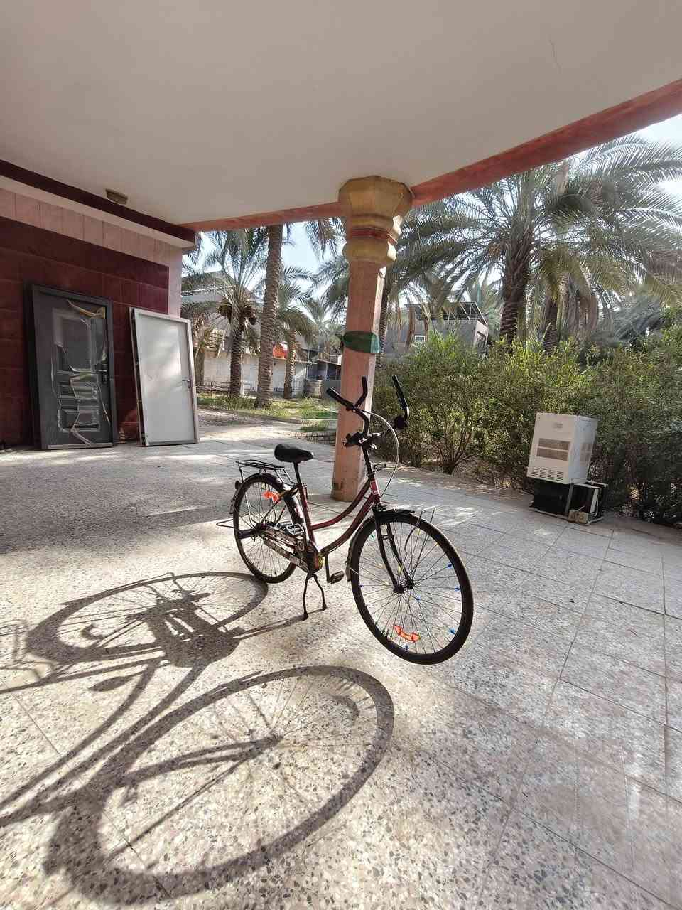 بايسكل • للبيع • السعر خاص