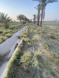 هوئ الشام • ارض زراعية • كيلو ونص