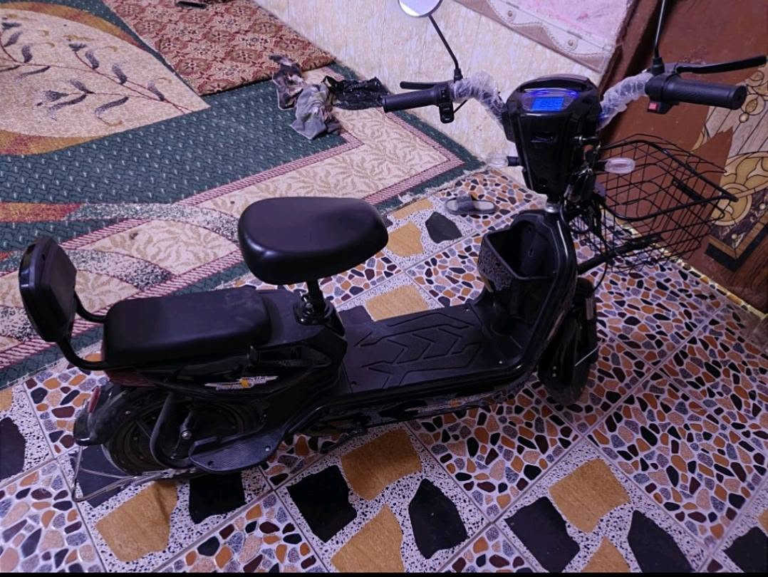 دراجة شحن • حجم ١٤ • موديل ٢٠٢٦