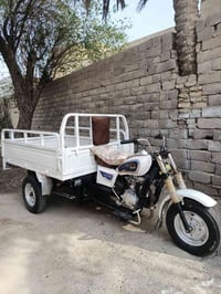 ستوته • ٢٠١٥ • احمر