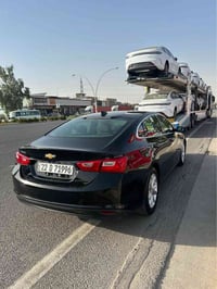 مايبو ٢٠٢٠ • نضيف • أربيل