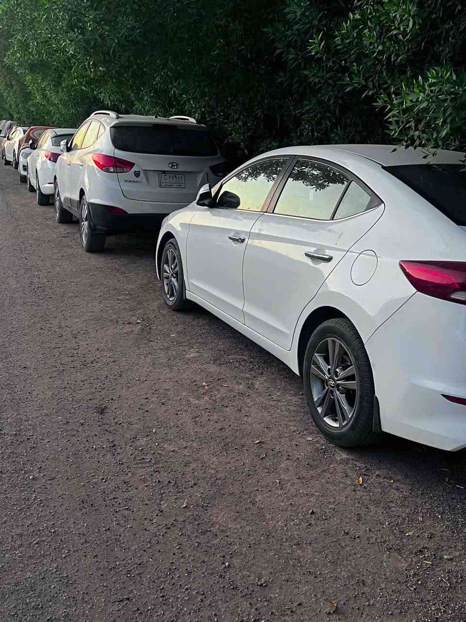 النترا مديل ١٧ خليجي رقم بغداد بسمي شخصيا ماشيه ١٨٠ سيارة على ايدي بوضع الشركه بيها فقط قطعه وحده بنيد كير محرك حداديه تبريد كله جديد رايدها ب ١٣٠ وبيها محال جدا بسيط مكاني كربلاء ***********
