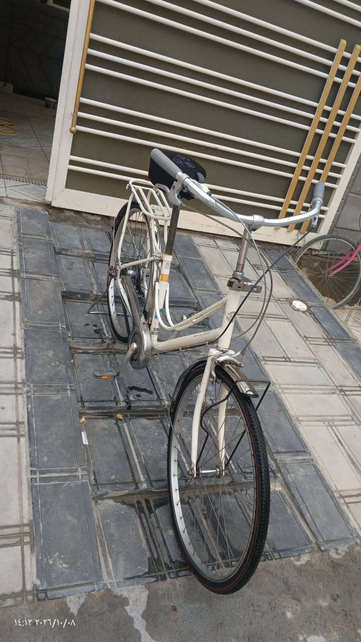 باسكل • نضيف • نجف مشخاب
