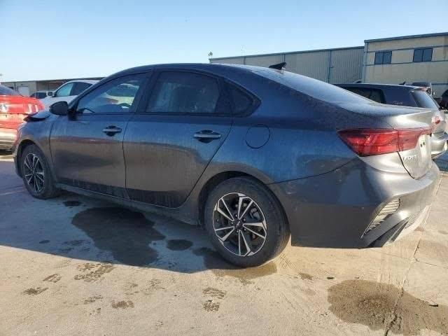 السلام عليكم
فورتي2023 LX 
مواصفاته :
ويل كب
رادار امامي 
رادار جانبي 
سستم صوت
اشاير مري 
مكينه 2000 دوش
تحديد مسار 
قياده ذاتيه
3وضعيات قياده 
حادث امامي خفيف بدون دواخل واكو ٥ رصعات خفيفه بالسقفية 
ماشيه 65 الف كيلو
بدون رقم منفيس حره باسمي تترقم محافظات ما عدا اربيل 
للاستفسار -***********
