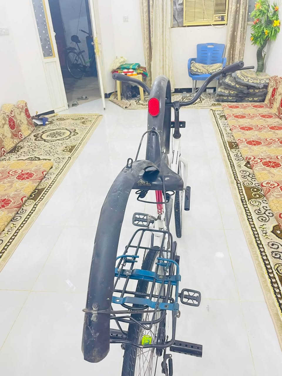 باسكل • نضيف • موديل ١٥