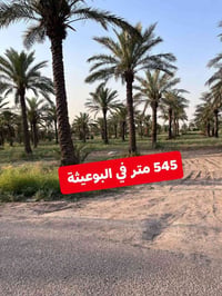 البوعيثة • ٥٤٥م • واجهة ١٨