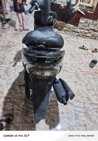 قجمه • عدله • مكفولات
