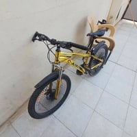 أبو الدبلات • أصفر كرومي • نادر