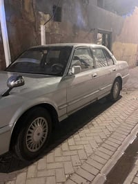 ارنب • مديل ٩٤ • رقم بصره