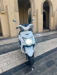 سكنس فحل • ياباني • مكفوله