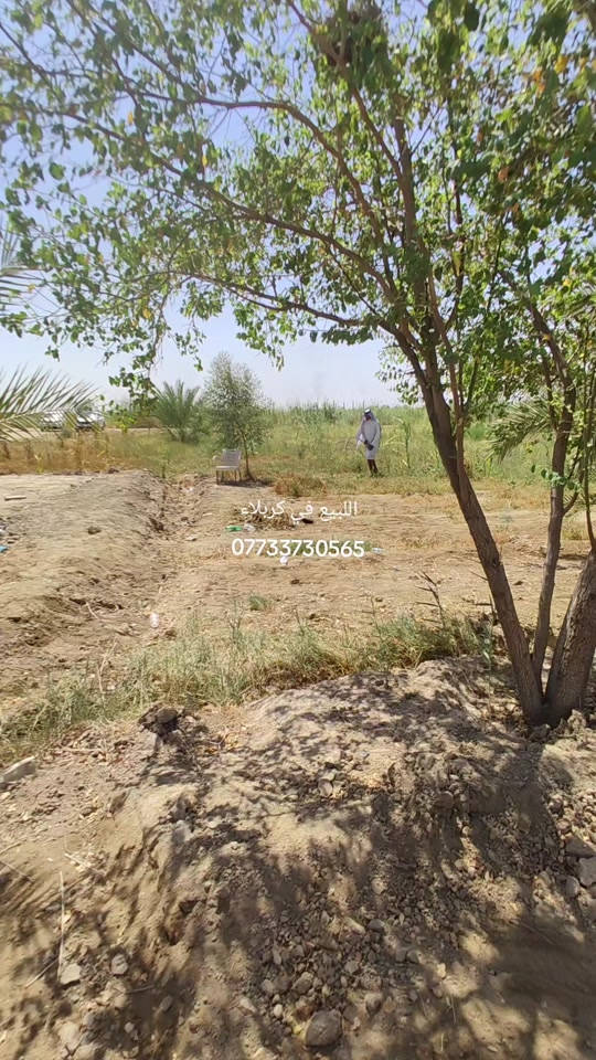 دونمين للبيع في كربلاء شارع بغداد شارع جماليه قرب المجزره   تفاصيل كامله داخل الفيديو تفاصيل اكثر  *********** *********** ***********  يوجد واتساب
