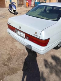 بطه • جاهزة • بصرة