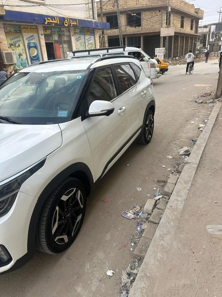 سلتوز • ٢٠٢٤ • رقم شهداء