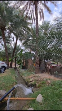 اليوسفية بغداد • دونم طابو زراعي • مي نهر كهرباء