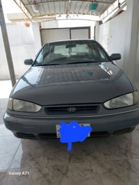 اكسنت • رقم نينوى • صبغ عام