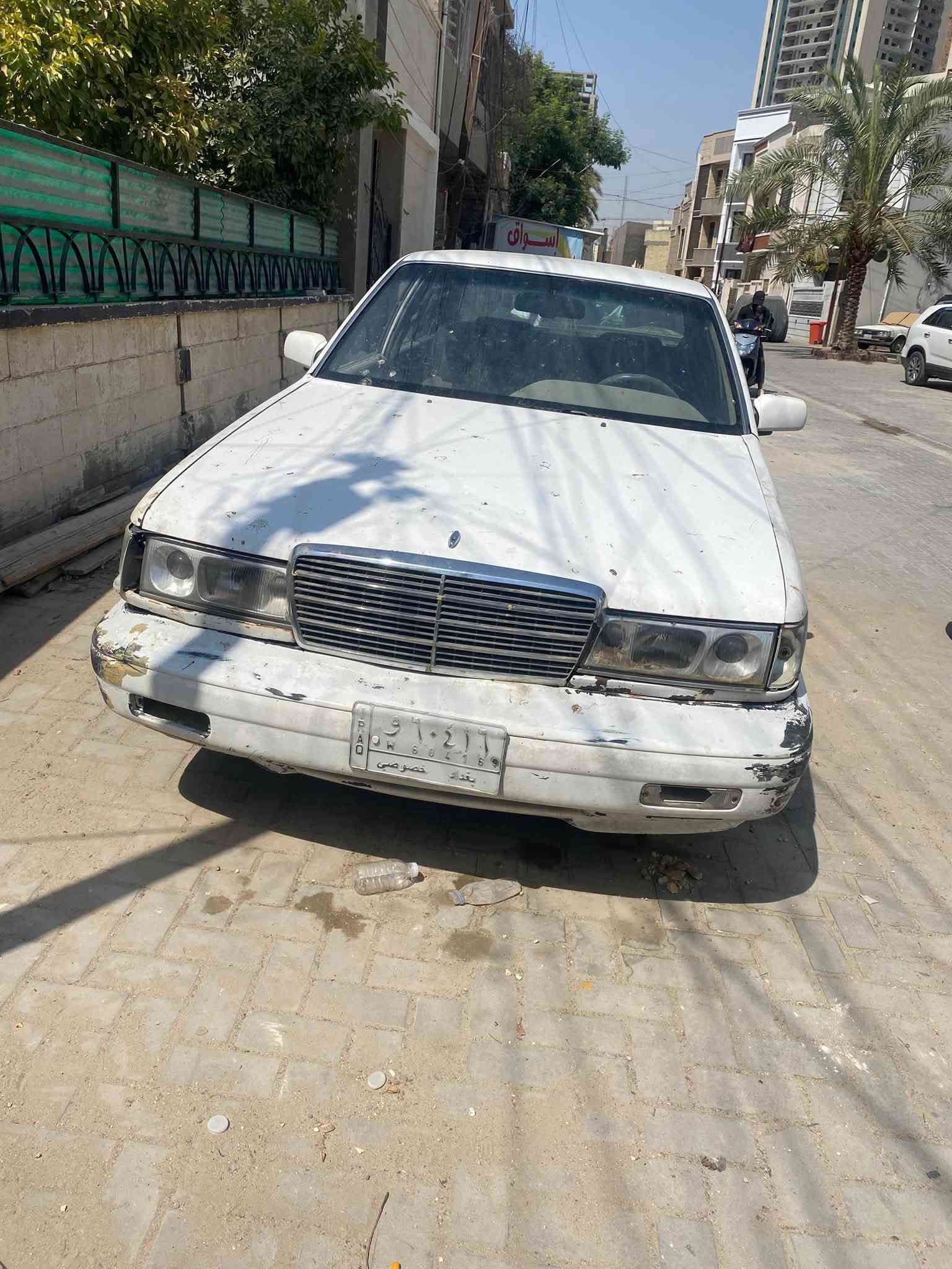 بونتيشا • ساقطة سنوية • أوراق