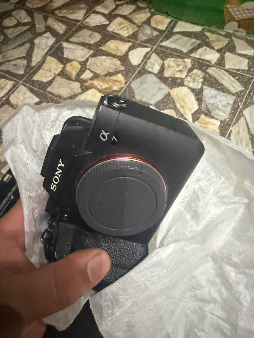 مرحبا سوني a7 iv   فور  

نظافه 100% 
عداد الشتر 1200  صوره فقط 

خالية من اي ضربه نظيفه كلش 

*********** 📞 

رجاءاً سعر خاص حتى مايكسرون بسعرهة 
للتواصل خاص
