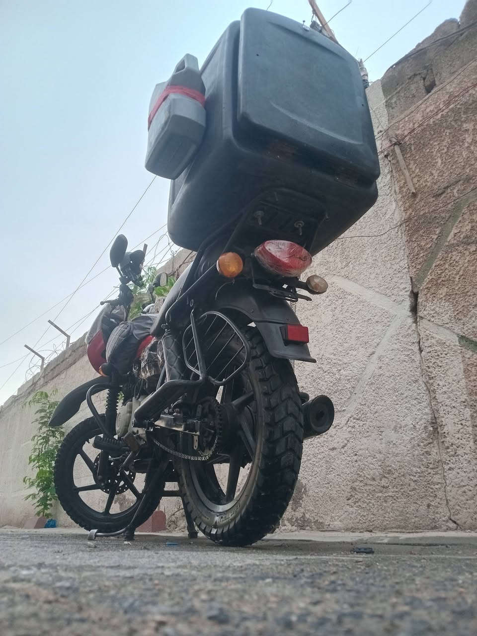 بوكسر • ٢٠٢٠ • زنون