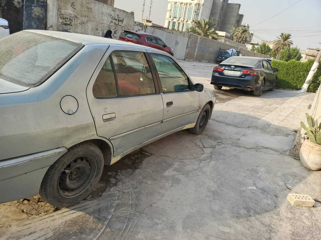 بيجو فرنسي • لا صبغ • بلديات بغداد