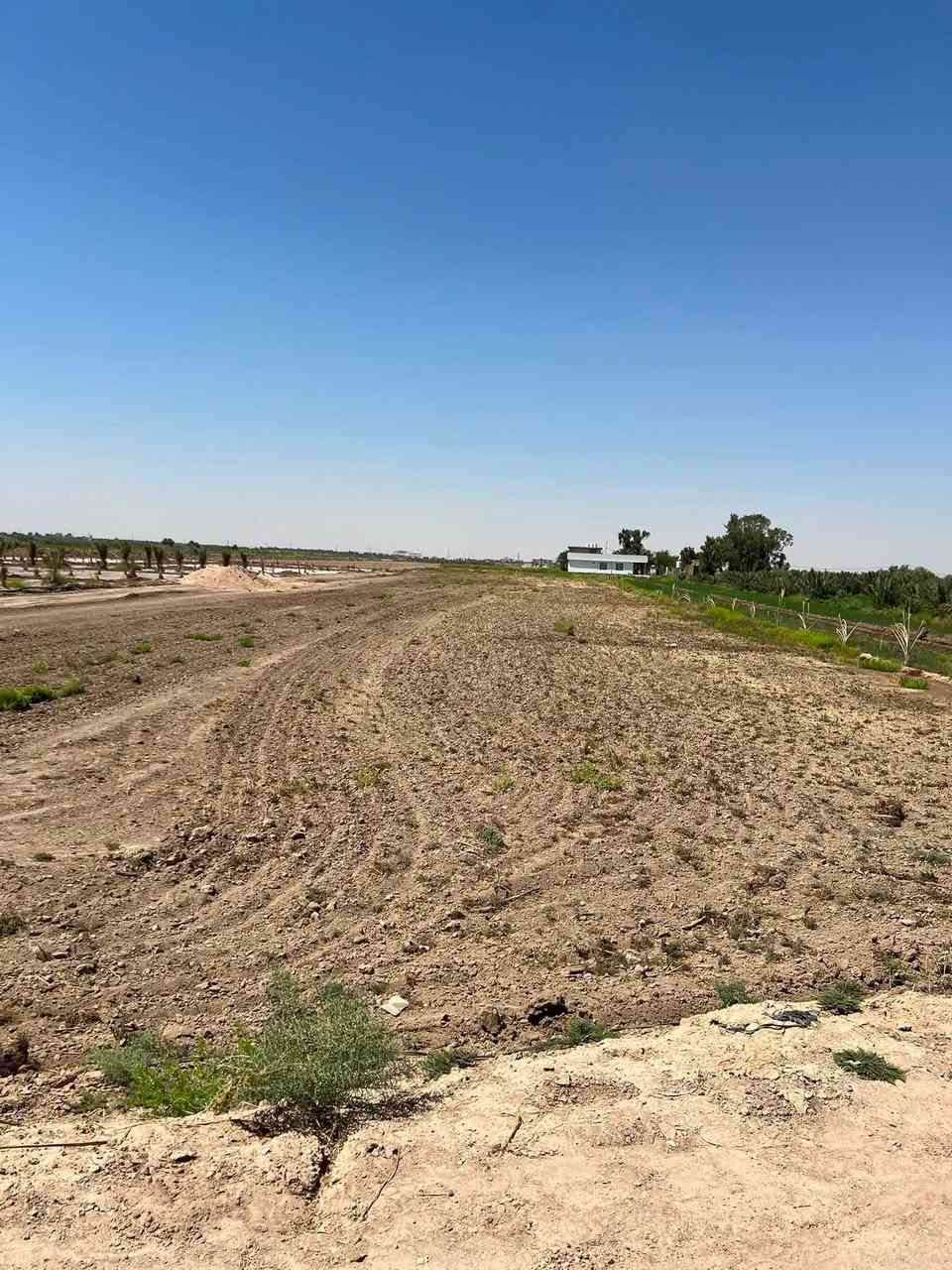 ✅توجد ٣ دوانم للبيع طابو زراعي ٢٥ متوفر كافه الخدمات 

الموقع طريق كربلاء نجف عمود 1141 منطقة الجذار 

سعر الدونم ٧٥ مليون وبيه مجال للشراي 
للاستفسار ***********
