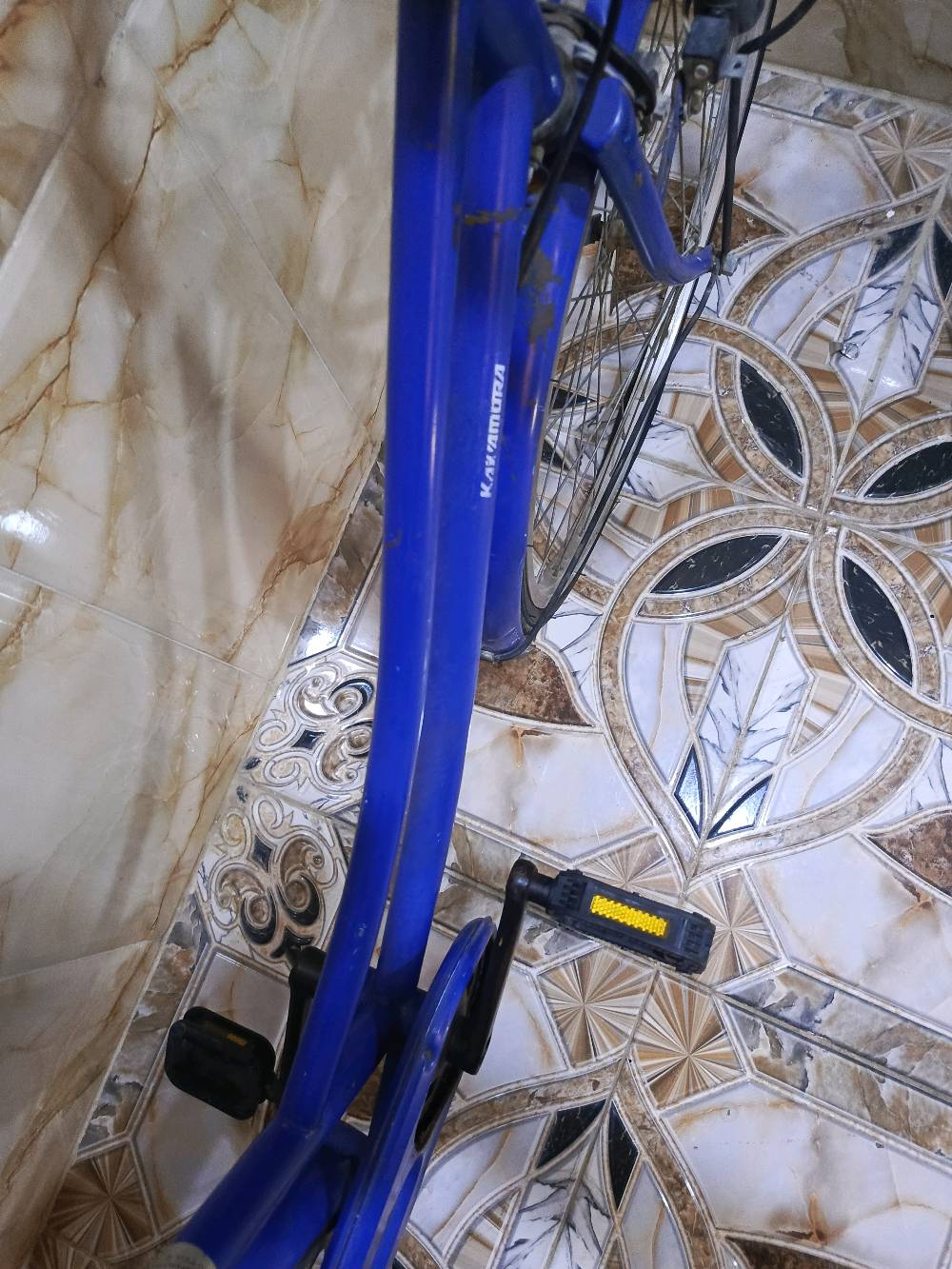 بايسكل سياحي جديد مايستخدم حاويه بالا سعر ١٣٠بي مجال قليل علوان البصره الاصمعي جديد شقق الفاو