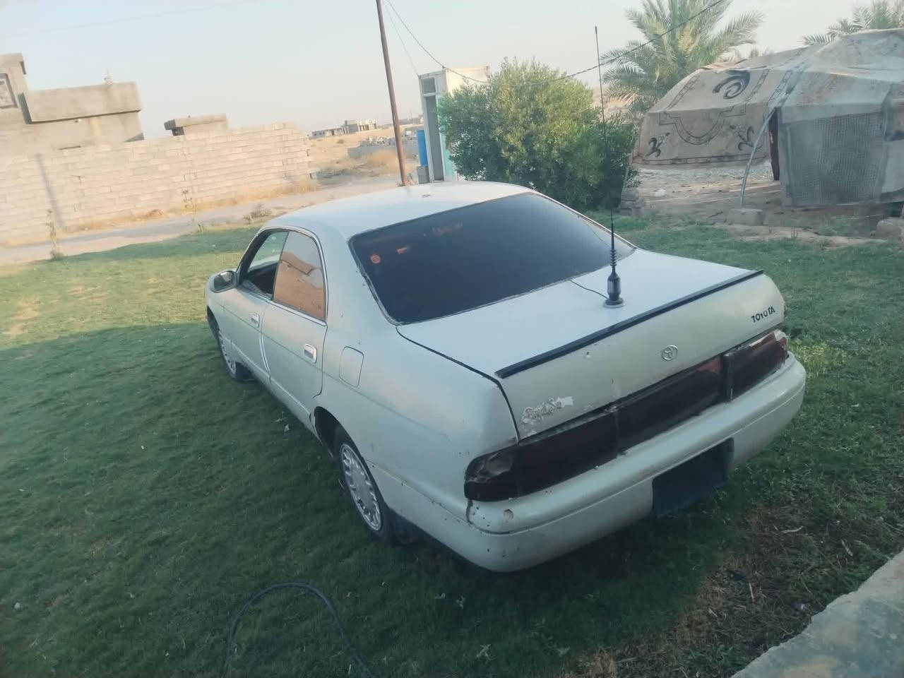 بطه • تفليش • مكلف