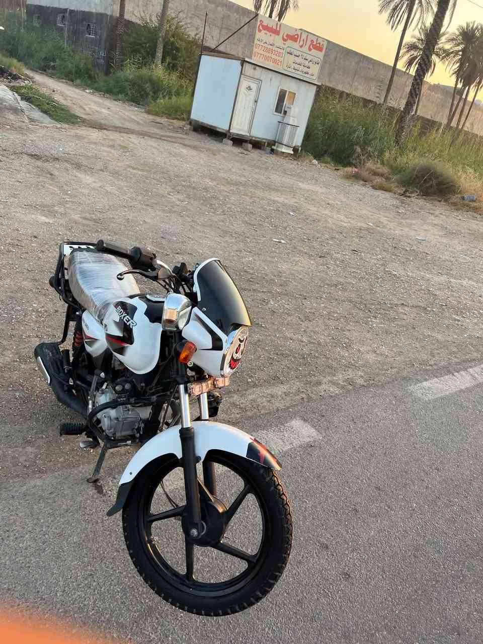 دراجه بوكسر للبيع موديل 23دراجه كامله مكمله كفاله عامه ايضربه مابيها مرقمه رقمها ديالى تحويل ثاني يوم رقم انكليزي انطيك سنويه  حلو سعر الدراجه مليونين 200الف بيها مجال حك جيتك سراي اتصل اذا مو شراي لتعبني دراجه مال حلال كلشي كامل ايشي ما مبدل بيها العنوان ديالى بعقوبه تقاطع الساده ***********
